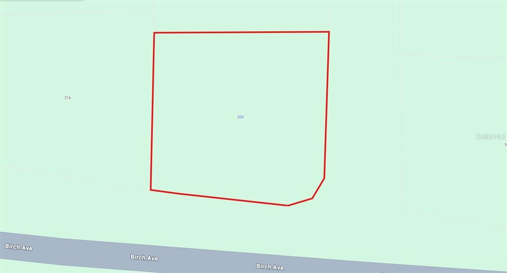 This is a map showing a property lot outlined in red along Birch Ave — 200 RED FOX DRIVE, SEBRING, FL