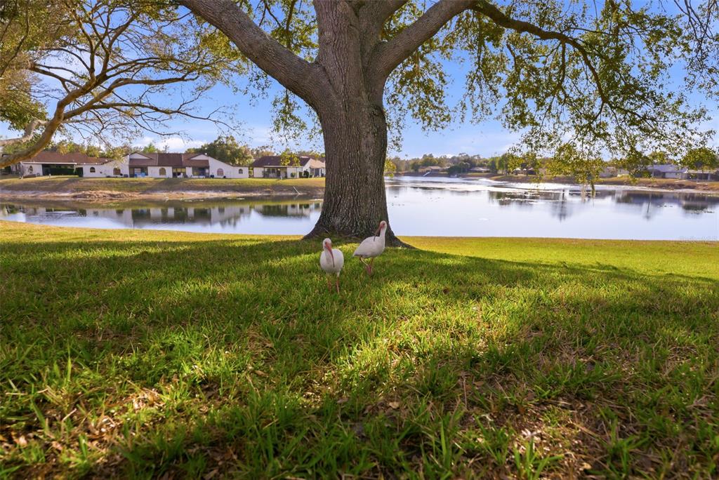 7406 HEATHER WALK DRIVE, WEEKI WACHEE, FL — photo 5 of 30