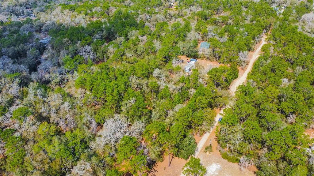 An aerial view shows a dirt road winding through a dense, wooded residential lot — 5500 S CHEROKEE TERRACE, INVERNESS, FL