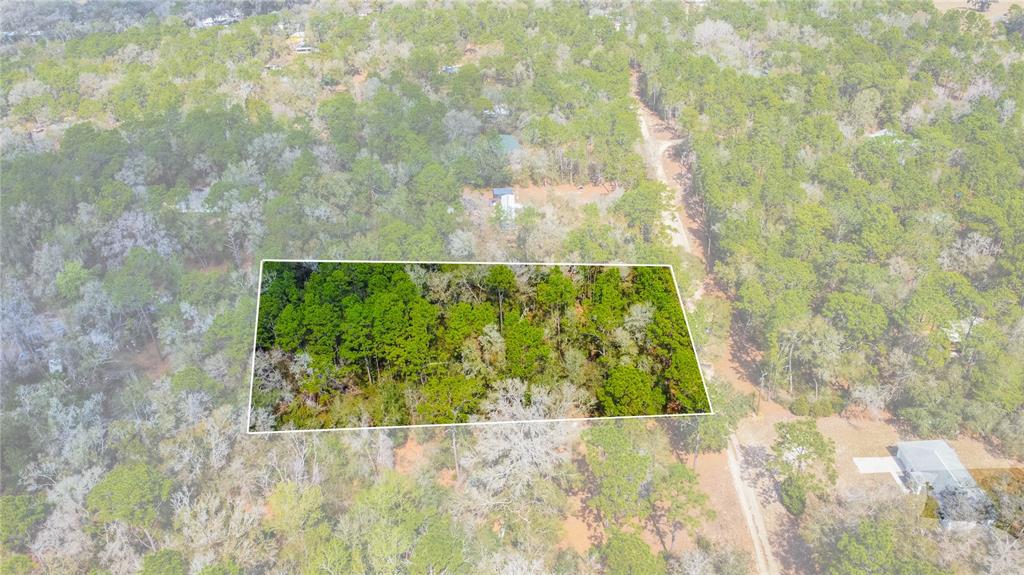 An aerial view shows a rectangular plot of wooded land outlined in white — 5500 S CHEROKEE TERRACE, INVERNESS, FL