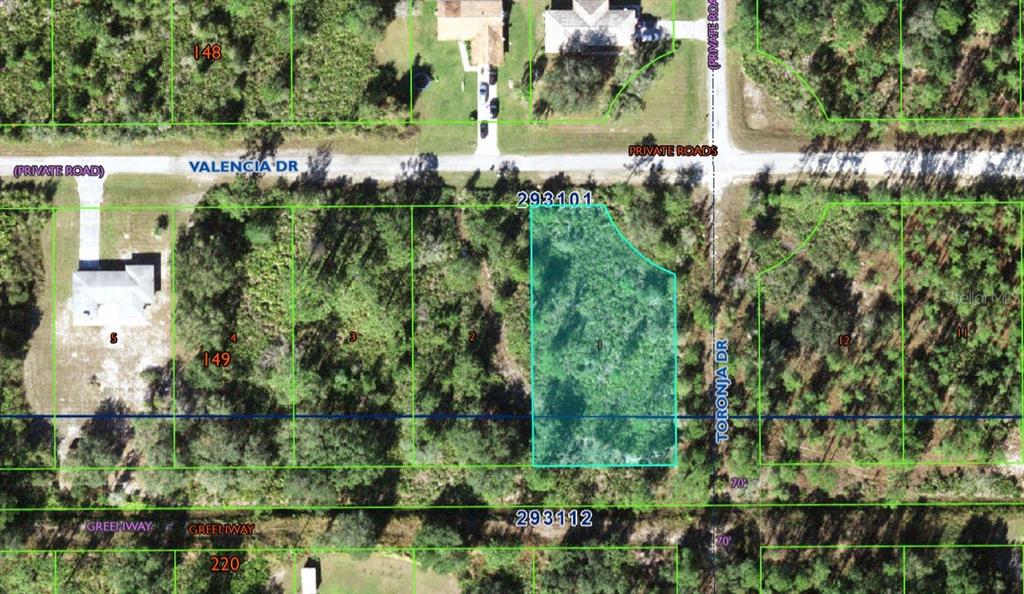 This is a satellite map view showing a vacant, wooded residential lot outlined in teal — 901 VALENCIA DRIVE, INDIAN LAKE ESTATES, FL