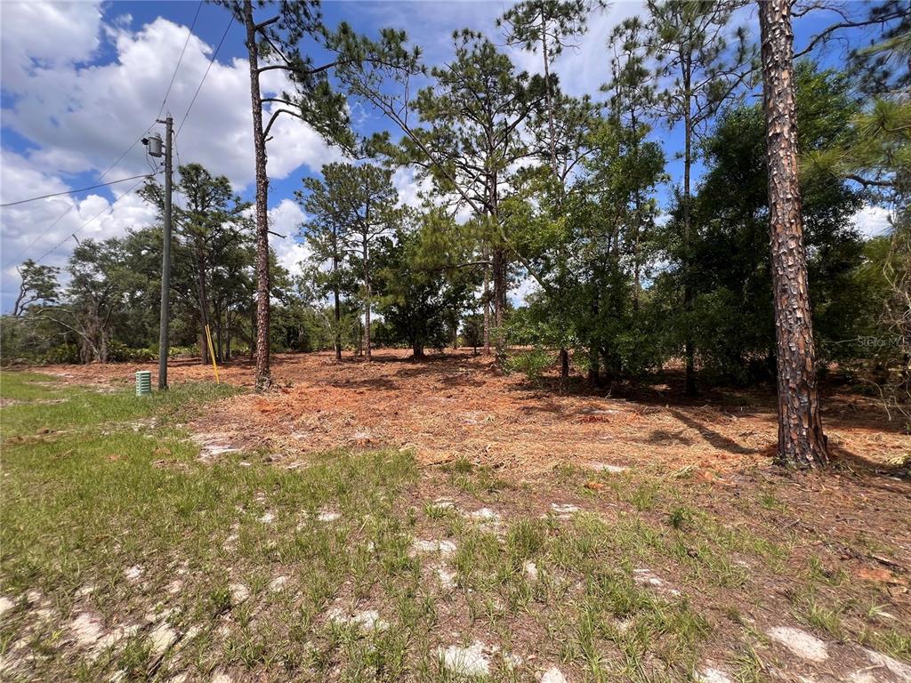 A cleared, wooded lot features tall pine trees under a partly cloudy blue sky — DEER ROAD, FROSTPROOF, FL