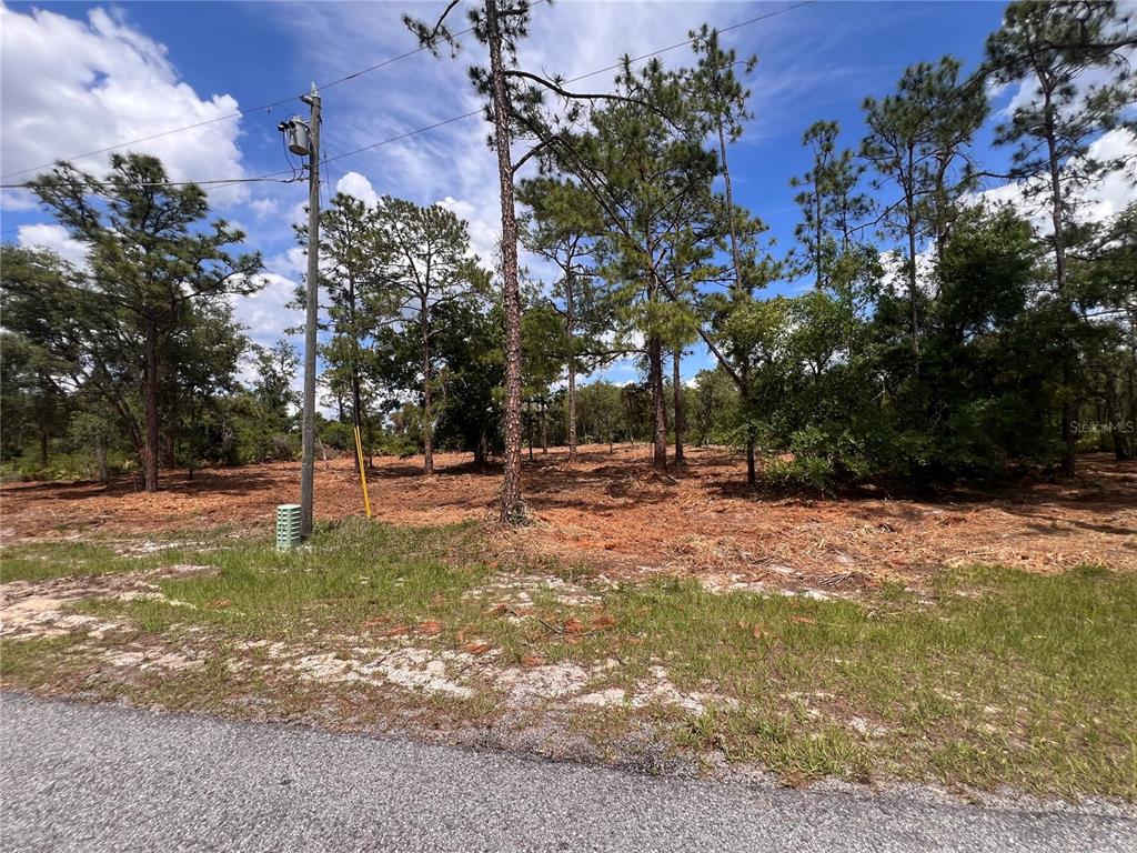 A cleared, wooded residential lot sits adjacent to a paved road with a utility pole — DEER ROAD, FROSTPROOF, FL