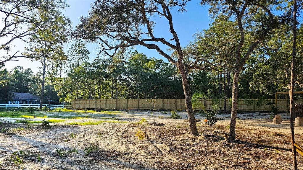 A large, sandy backyard features a wooden fence, several trees, and sparse vegetation — 16266 NIGHT HERON ROAD, WEEKI WACHEE, FL