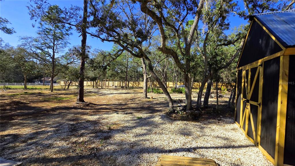 A gravel yard with mature trees and a black storage shed under a blue sky — 16266 NIGHT HERON ROAD, WEEKI WACHEE, FL
