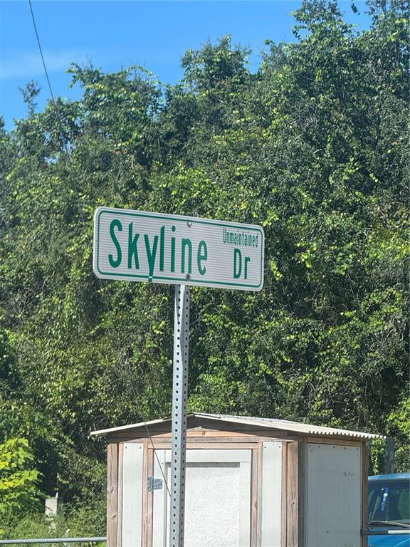 SKYLINE DRIVE, DELAND, FL — photo 4 of 5