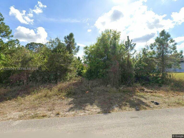 A vacant, overgrown lot with trees and shrubs sits along a paved road — 3709 7th ST SW, Lehigh Acres FL 33976, LEHIGH ACRES, FL