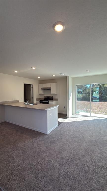 An open-concept kitchen with a breakfast bar and carpeted living area leads to a sliding door — 2638 ROCK CREEK DRIVE, PORT CHARLOTTE, FL