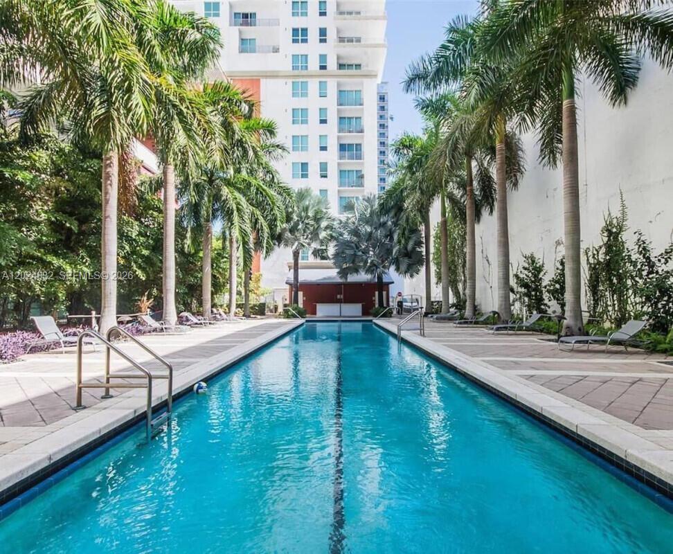 A long, narrow swimming pool is surrounded by palm trees and lounge chairs between buildings — 133 NE 2nd Ave # 1909, Miami FL 33132, MIAMI, FL