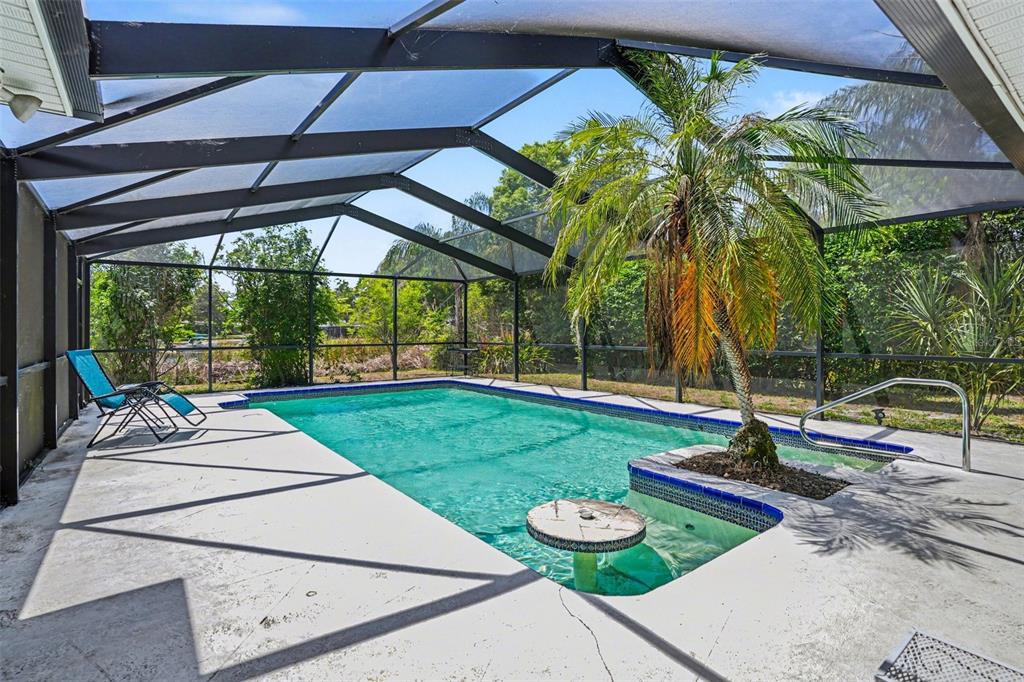 A screened-in swimming pool area features a palm tree, a small table, and lounge chairs — 1350 ECKLES DRIVE, TAMPA, FL