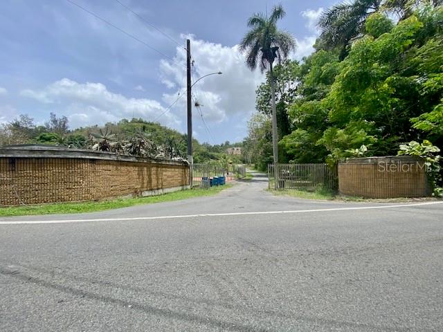 A paved road leads toward a gated entrance flanked by stone walls and palm trees — PR 155 RAMAL 646, VEGA BAJA, PR