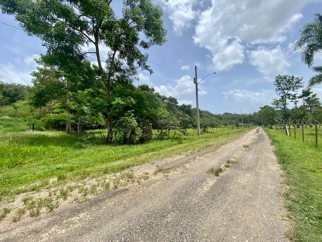 A gravel road leads past a grassy lot with trees under a cloudy sky — PR 155 RAMAL 646, VEGA BAJA, PR