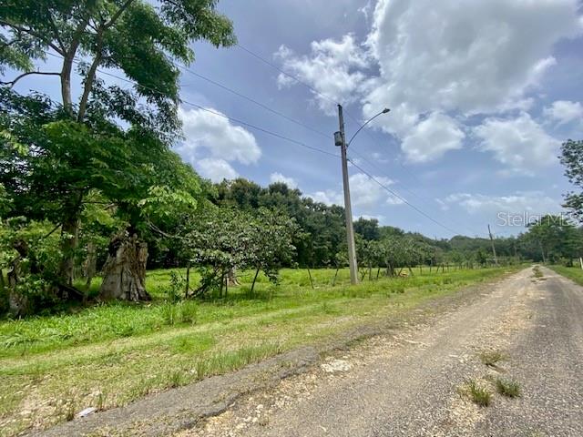A gravel road runs alongside a grassy lot with trees and a utility pole — PR 155 RAMAL 646, VEGA BAJA, PR