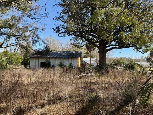 A weathered metal-sided building stands in a field of tall, dry grass beneath large trees — 1219 N PARIS STREET, BELL, FL