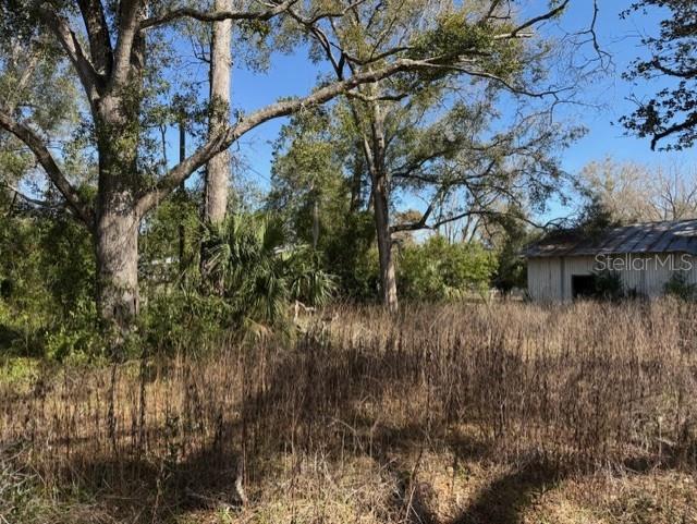 A grassy, overgrown lot features several large trees and a small, weathered shed — 1219 N PARIS STREET, BELL, FL