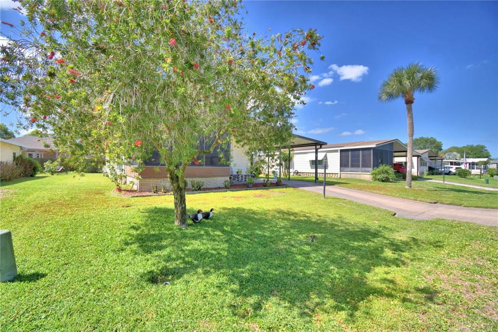 A mobile home with a carport and a large tree in the front yard — 447 VILLAGE CIRCLE SW, WINTER HAVEN, FL