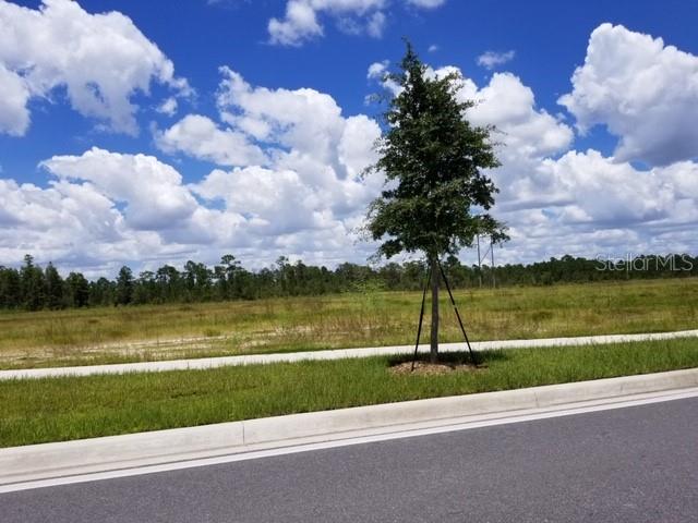 S APOPKA VINELAND ROAD