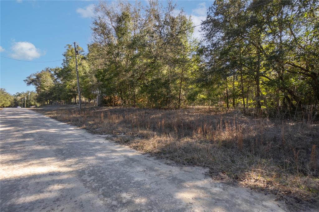 A dirt road runs alongside a wooded, undeveloped lot under a blue sky — SW 109TH PLACE, DUNNELLON, FL