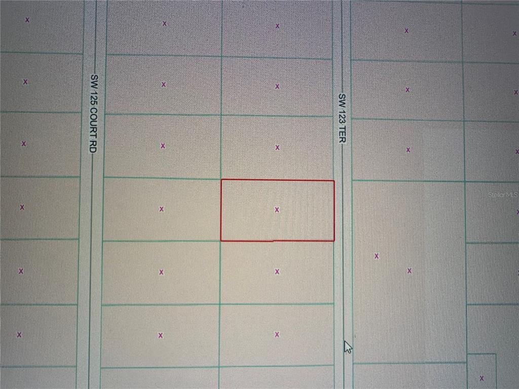 This is a map showing a rectangular parcel of land highlighted in red — SW 123RD TERRACE, DUNNELLON, FL
