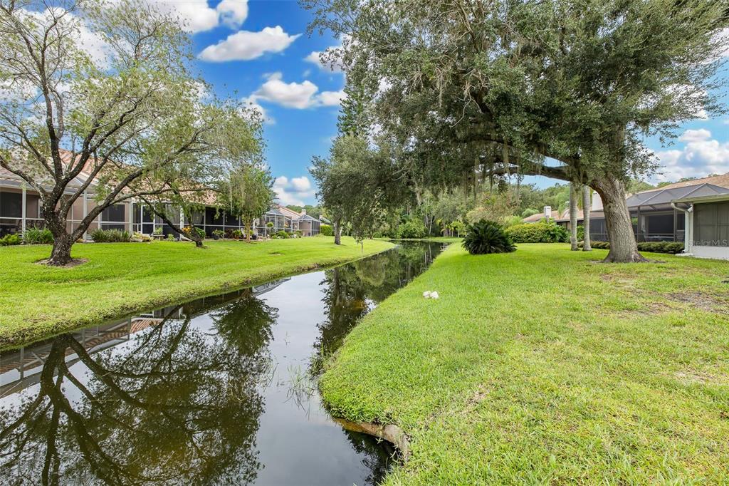A narrow canal flows between grassy backyards of residential homes under a blue sky — 5508 SALEM SQUARE DRIVE S, PALM HARBOR, FL