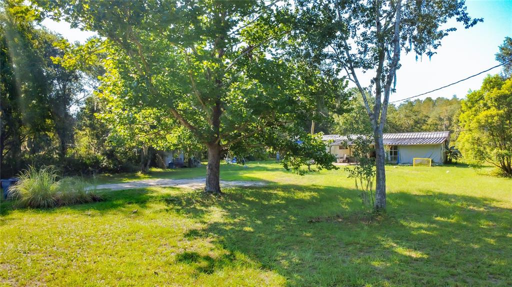 A grassy yard features a large tree in the foreground and a house in the background — 326 CREEKWOOD RUN, LAKELAND, FL