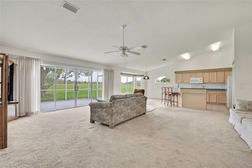 A spacious living room with beige carpet, a ceiling fan, and an open kitchen area — 11203 SUN TREE ROAD, HUDSON, FL