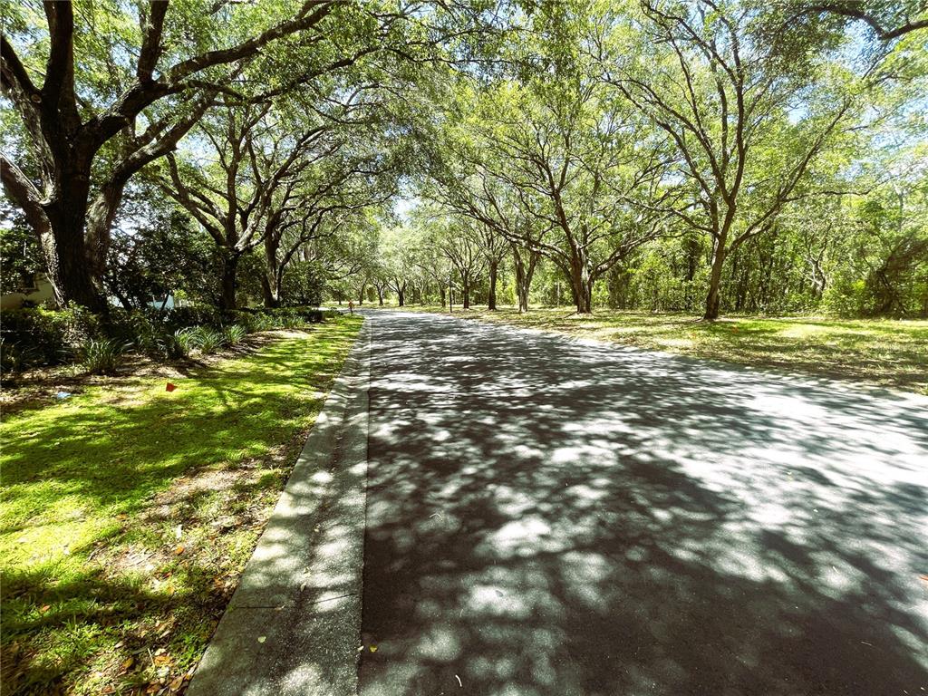 A paved road is lined with large, mature trees creating a canopy over the street — 521 W HILLWOOD PATH, BEVERLY HILLS, FL