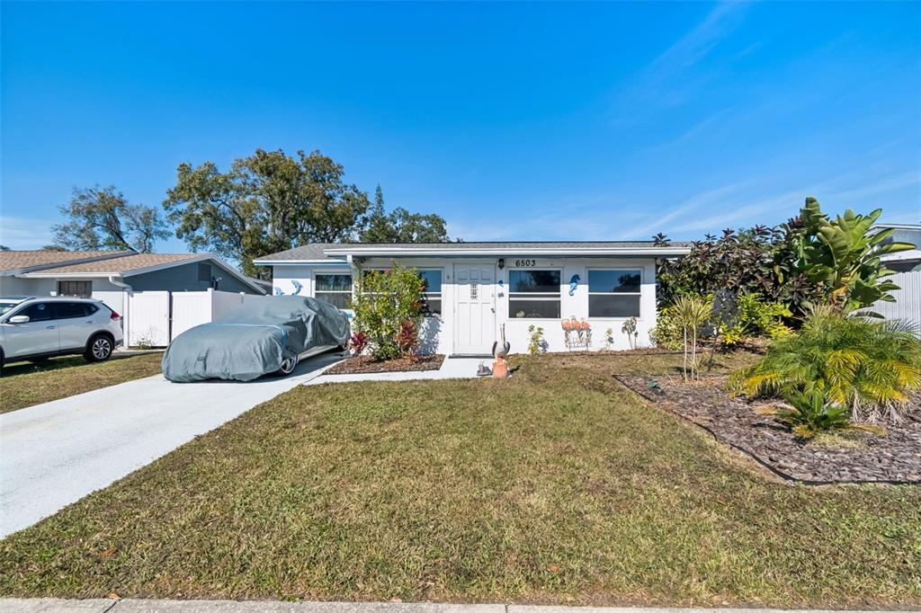 A single-story house with a white exterior, a covered car, and a front lawn — 6503 AMUNDSON COURT, TAMPA, FL