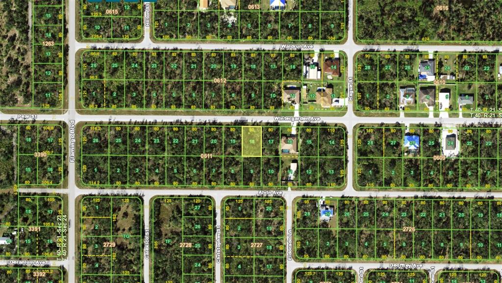 This is an aerial map showing residential land parcels and street layouts in a neighborhood — 17079 WINTERGARDEN AVENUE, PORT CHARLOTTE, FL