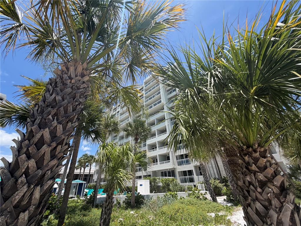 A multi-story residential building is framed by palm trees under a clear blue sky — 210 SANDS POINT ROAD UNIT 2402, LONGBOAT KEY, FL