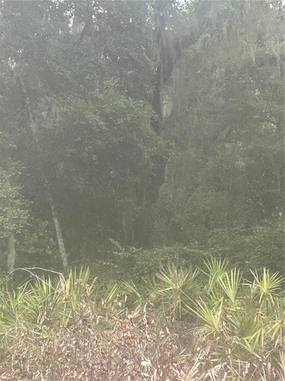 SE 105 PLACE, OCKLAWAHA, FL — photo 2 of 2