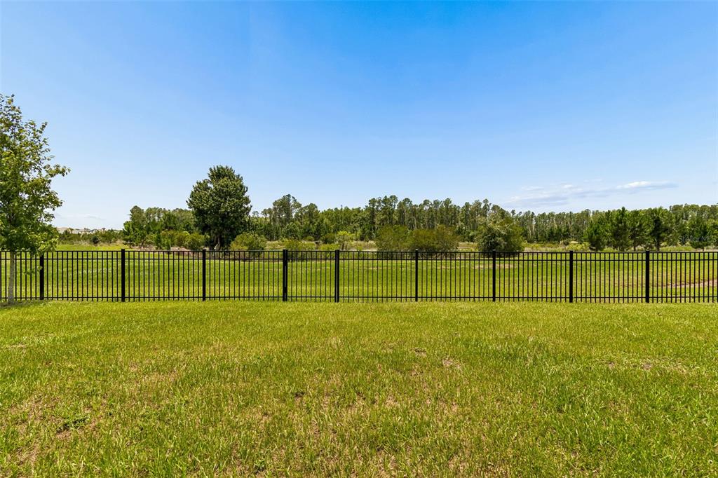 A grassy backyard features a black metal fence overlooking a line of trees — 7629 BROAD RIVER AVENUE, LAND O LAKES, FL