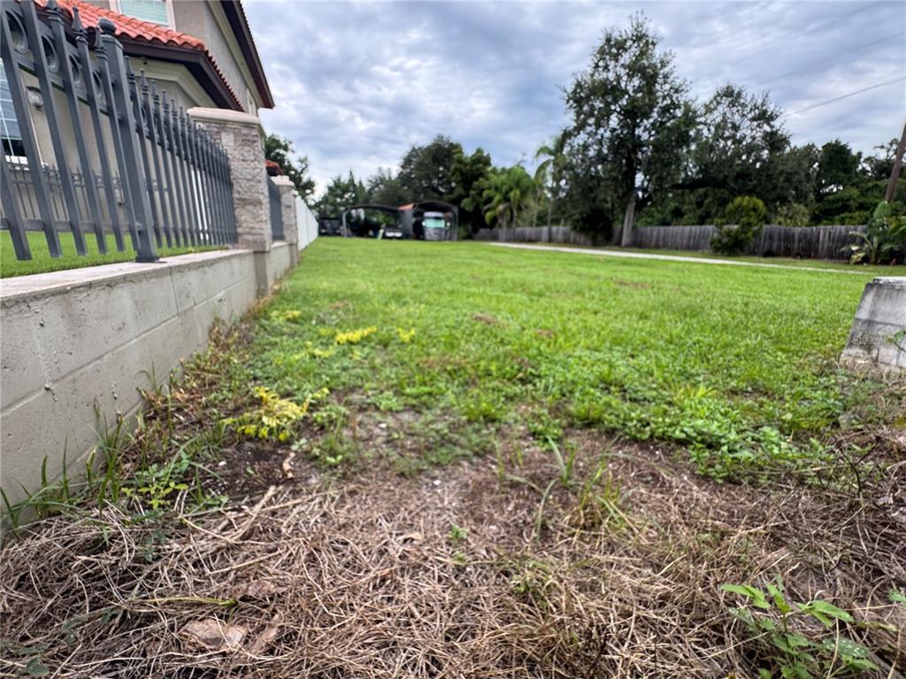 A grassy side yard runs along a concrete wall and metal fence next to a house — 2065 W BEARSS AVENUE, TAMPA, FL