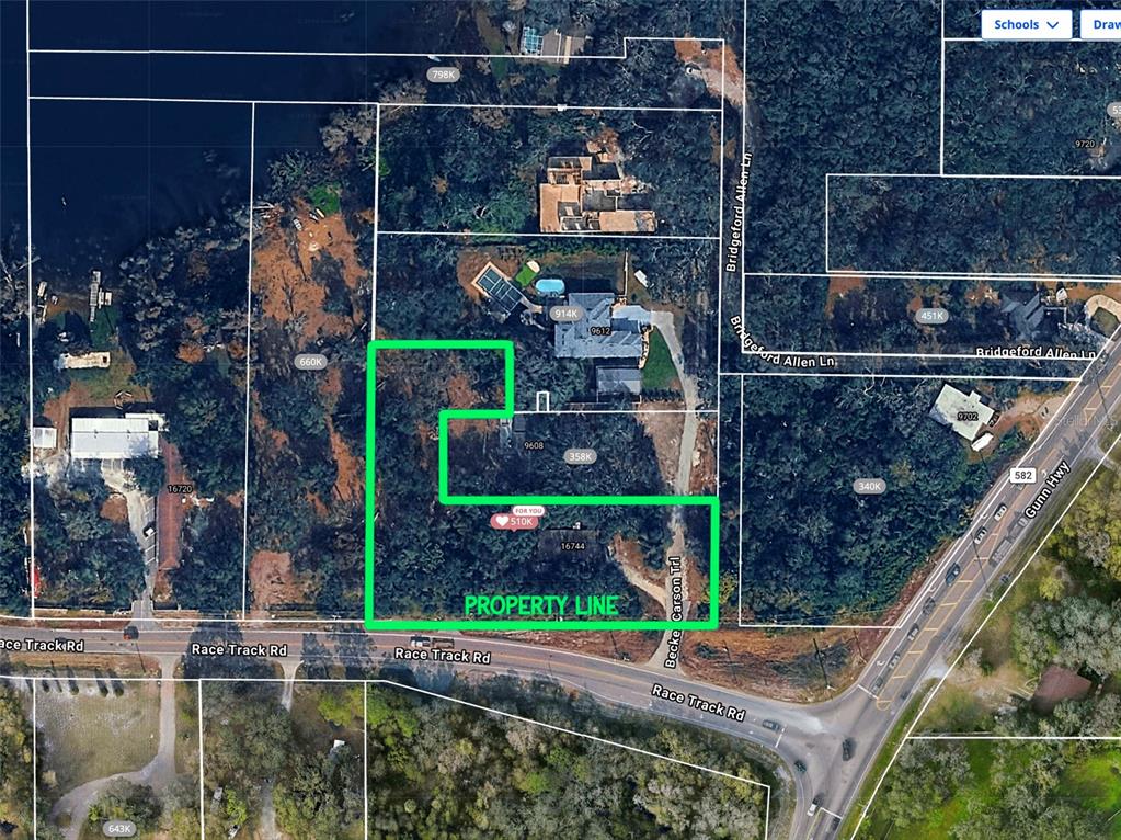 This is an aerial map showing a property boundary outlined in green near a road — 16744 RACE TRACK ROAD, ODESSA, FL