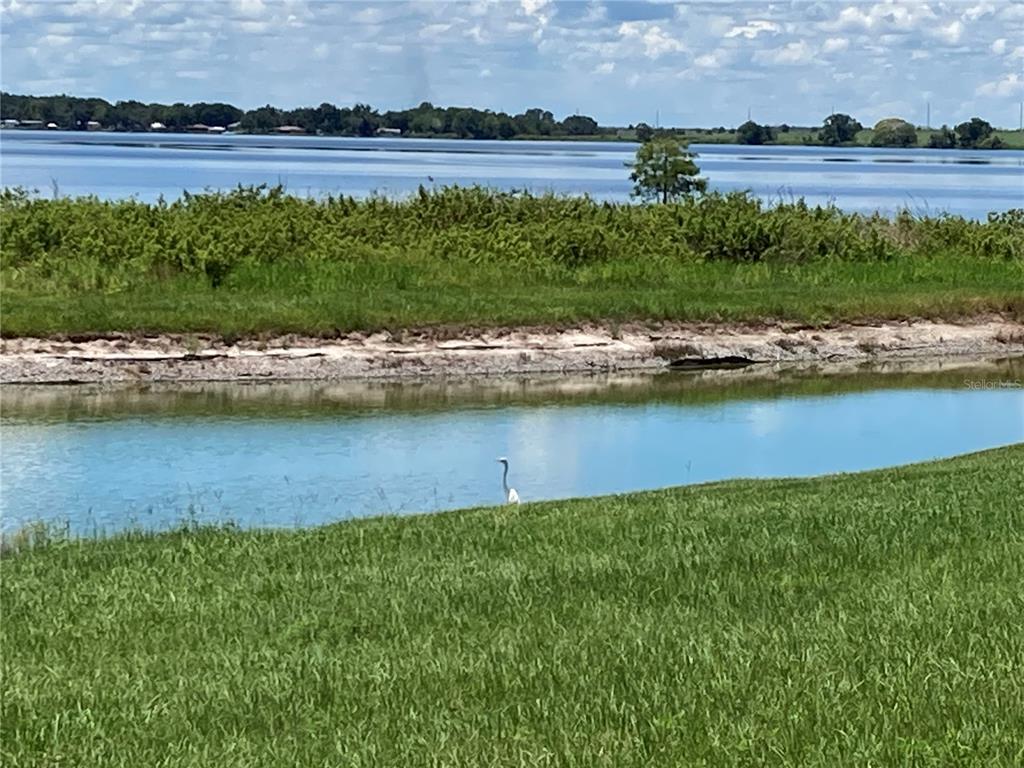 A white egret stands near a small pond with a large lake in the background — 493 ADAMS VIEW LANE, AUBURNDALE, FL