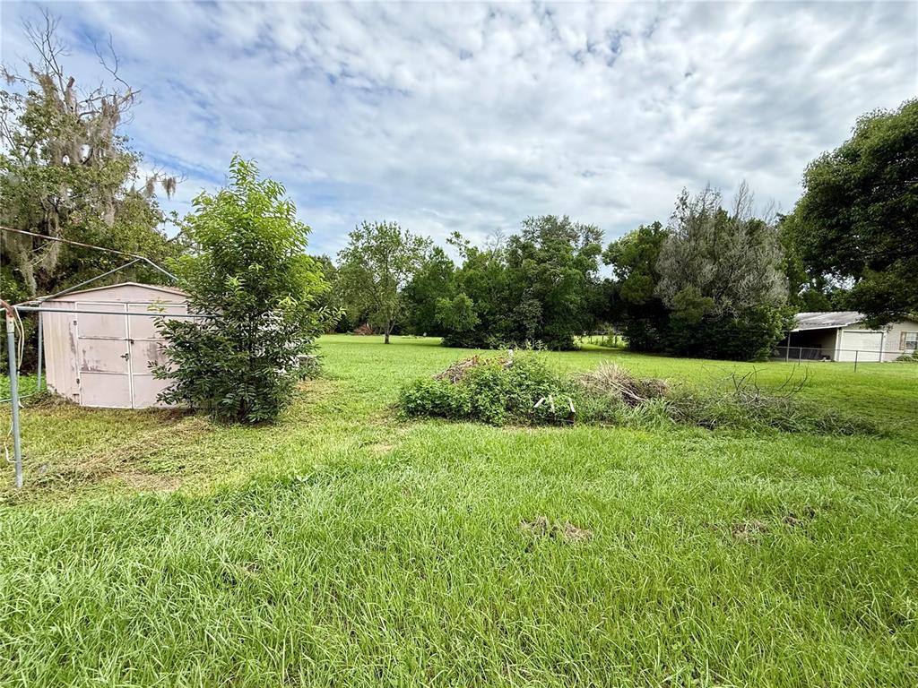 A grassy backyard features a small metal shed, a brush pile, and surrounding trees — 39605 OTIS ALLEN ROAD, ZEPHYRHILLS, FL