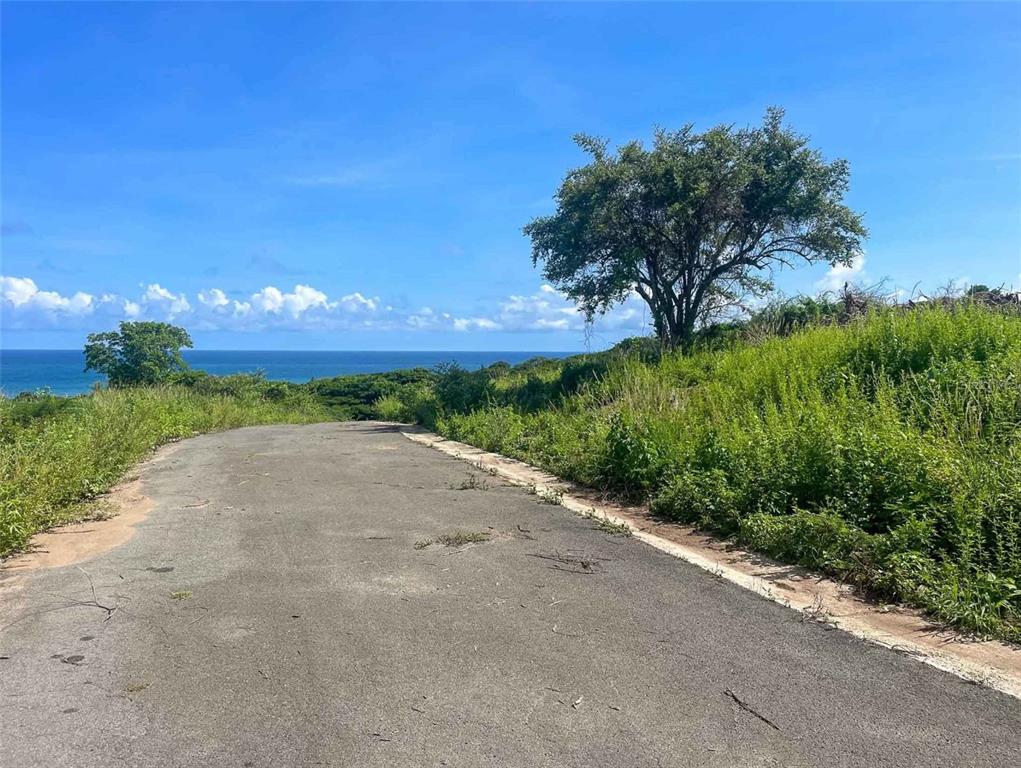 A paved road leads toward a grassy hillside overlooking the ocean under a blue sky — 2C HACIENDA PUERTO REAL, VIEQUES, PR
