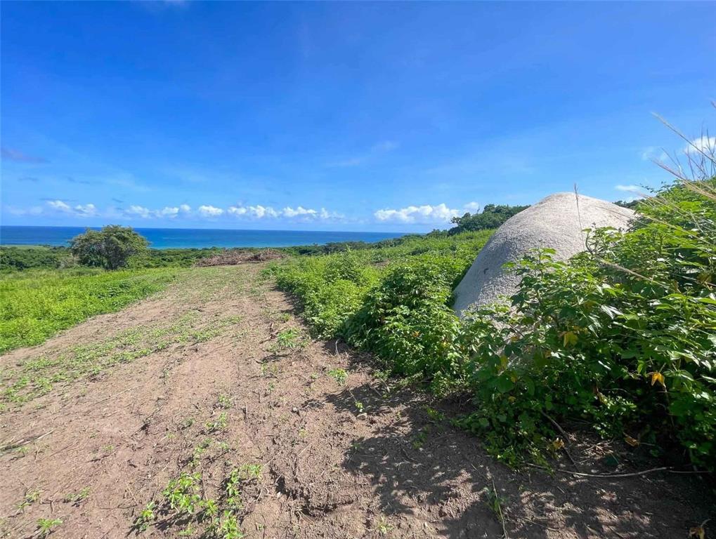 A dirt path leads through a grassy field toward a large boulder overlooking the ocean — 2C HACIENDA PUERTO REAL, VIEQUES, PR