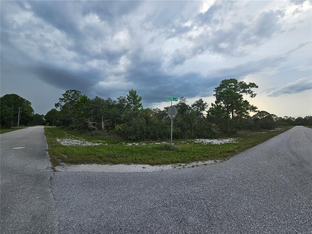 A vacant corner lot with native vegetation and a street sign at a road intersection — 643 BUCCANEER STREET NW, LAKE PLACID, FL
