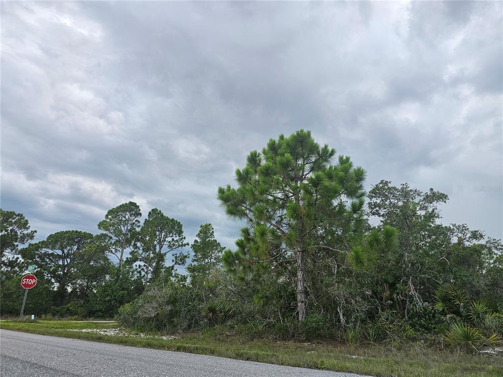 A paved road runs in front of a wooded lot with pine trees and a stop sign — 643 BUCCANEER STREET NW, LAKE PLACID, FL