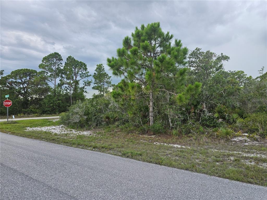 A vacant, wooded corner lot with a stop sign sits beside an asphalt road — 643 BUCCANEER STREET NW, LAKE PLACID, FL