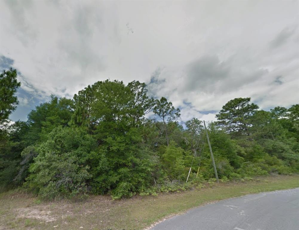 A view of a wooded, undeveloped lot from the edge of a paved road — 1784 W LORRAINE DRIVE, CITRUS SPRINGS, FL
