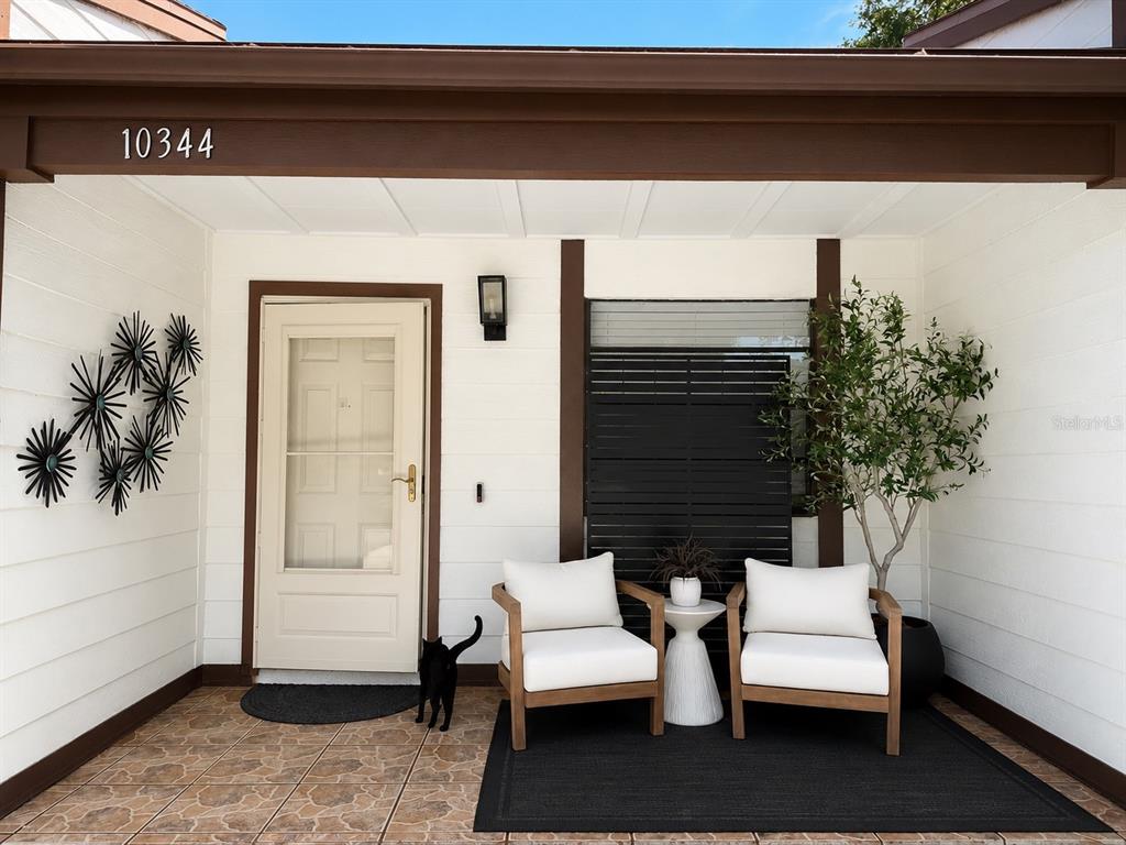 A covered front porch features a white door, two wooden chairs, and a black cat — 10344 COUNCILS WAY, TAMPA, FL