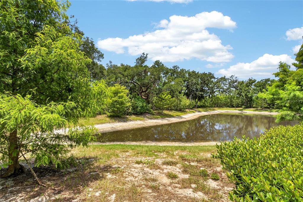 A small pond sits in a grassy clearing surrounded by trees under a blue sky — 2911 JACOB CROSSING LANE, HOLIDAY, FL
