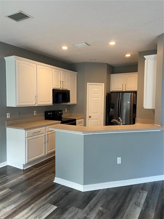27546 PLEASURE RIDE LOOP, WESLEY CHAPEL, FL — photo 2 of 30