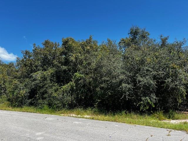 A paved road runs in front of a dense, wooded lot under a clear blue sky — 1229 BALTIC DRIVE, POINCIANA, FL