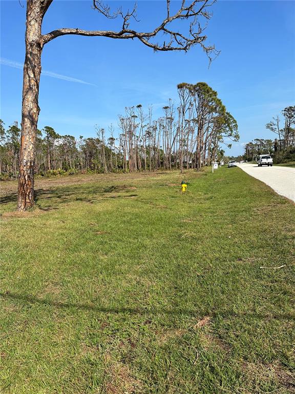 A vacant grassy lot features a fire hydrant and a large pine tree near a road — 8878 BANTRY BAY BOULEVARD, ENGLEWOOD, FL