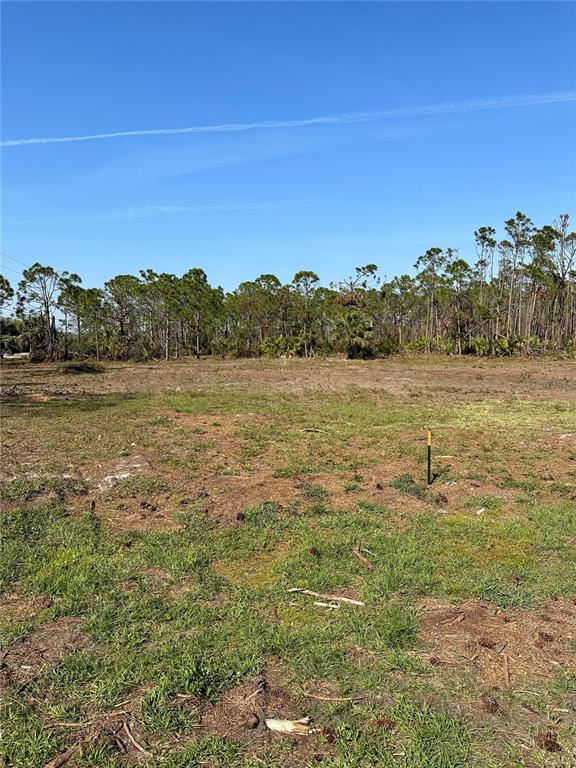 A flat, cleared lot features sparse grass and a line of trees in the background — 8878 BANTRY BAY BOULEVARD, ENGLEWOOD, FL