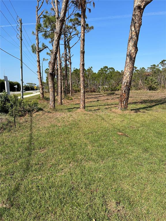 A grassy lot features a row of tall pine trees under a clear blue sky — 8878 BANTRY BAY BOULEVARD, ENGLEWOOD, FL