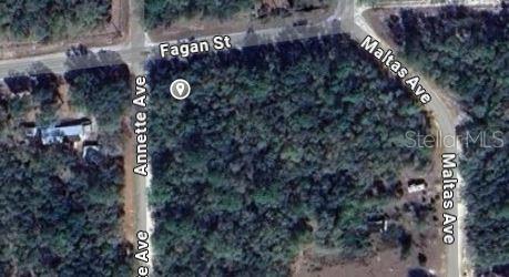 This is an aerial map view of a wooded, undeveloped corner lot — 00 ANNETTE AVENUE, INTERLACHEN, FL